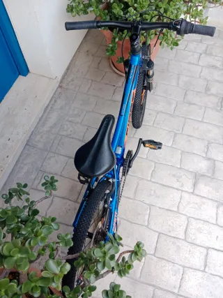Bici Infantil 20"Giant XTC JR