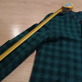 Kaiku lekeitiarra berdea