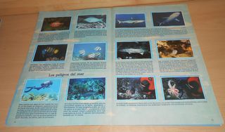 Álbum Mis Amigos Los Peces Tele Indiscreta