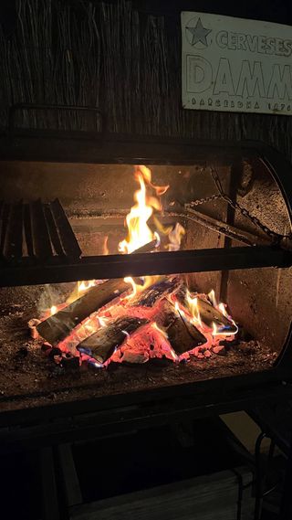 Barbacoa Parrilla con Brasero leña y carbón. 