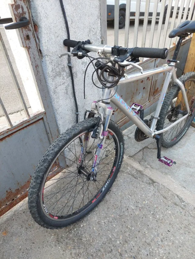 Bicicleta