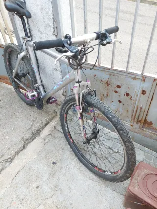 Bicicleta