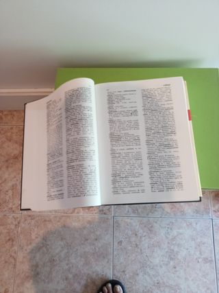 Diccionario internacional Español/Ingles