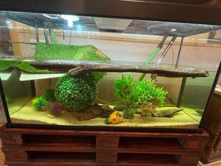 Acuario completo de cristal y madera