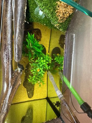 Acuario completo de cristal y madera