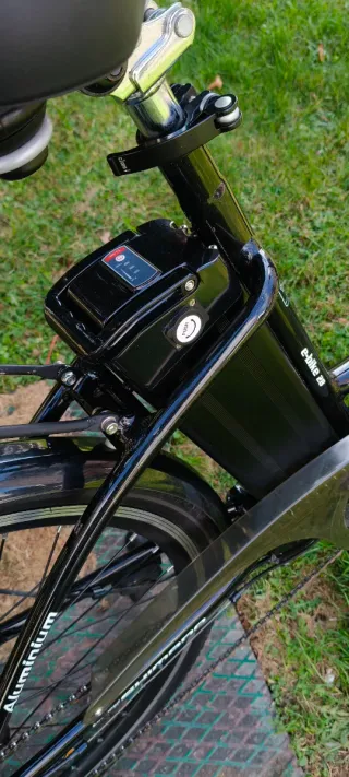 Bici eléctrica 