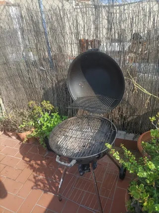 Barbacoa de carbón negra y plateada