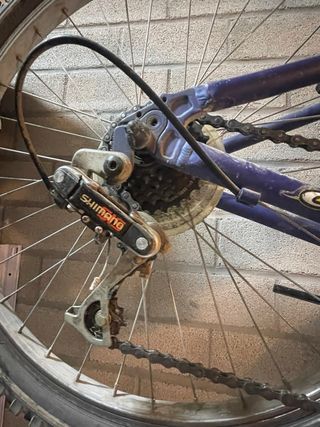 Bicicleta de Montaña Coluer