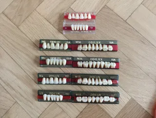 Lote Prótesis Dentales y Material Dental
