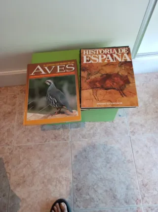 Libros de Aves e Historia de España