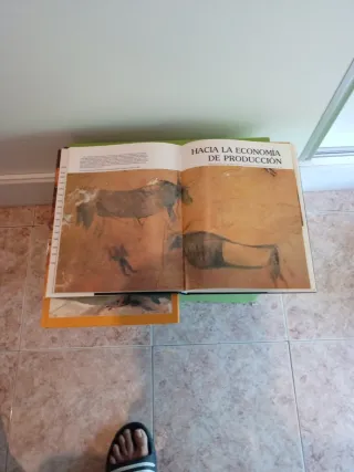 Libros de Aves e Historia de España