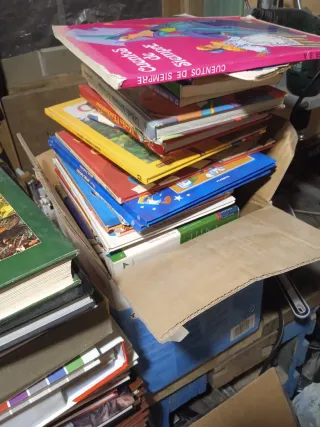 Lote libros infantiles
