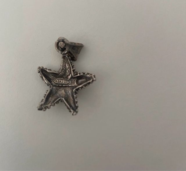 2 ciondoli argento 800: stella e cavalluccio marin