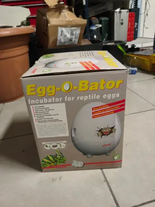 Incubadora Reptiles Huevo Blanca