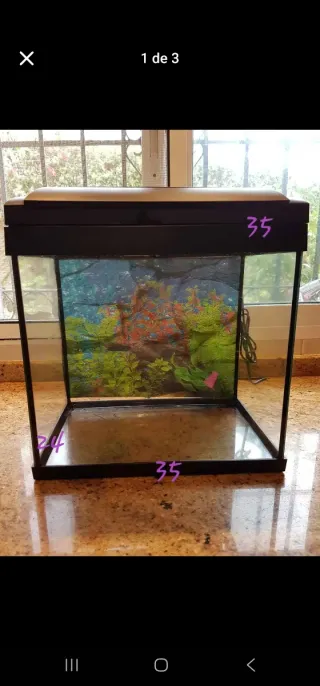 Terrario 35x24 y 35 altura