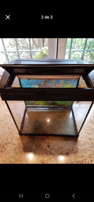 Terrario 35x24 y 35 altura
