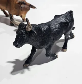 2 Toros