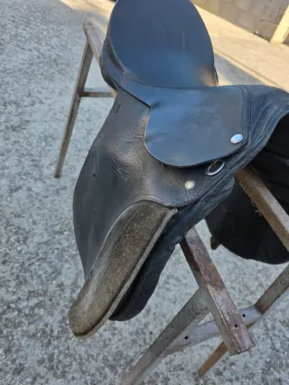 Montura de caballo negra