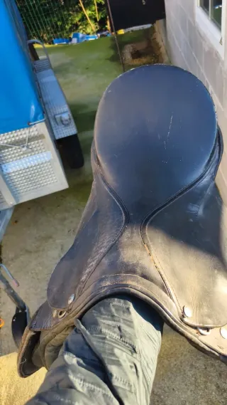 Montura de caballo negra