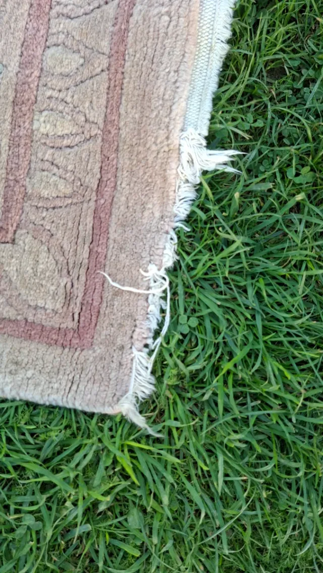 Alfombra Lana Beige y Rosa 333x245cm