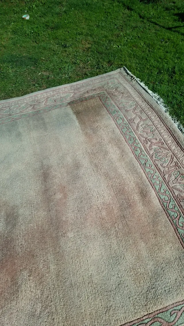 Alfombra Lana Beige y Rosa 333x245cm