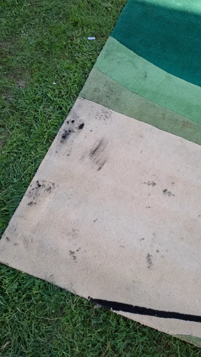 Alfombra Lana 360x302 cm