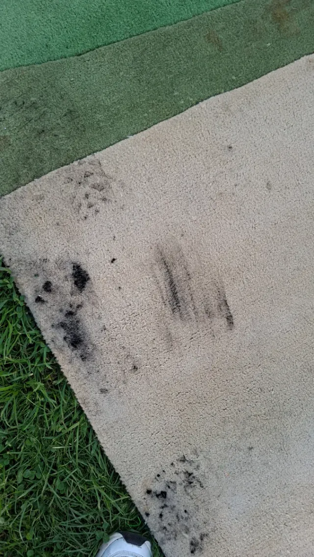 Alfombra Lana 360x302 cm