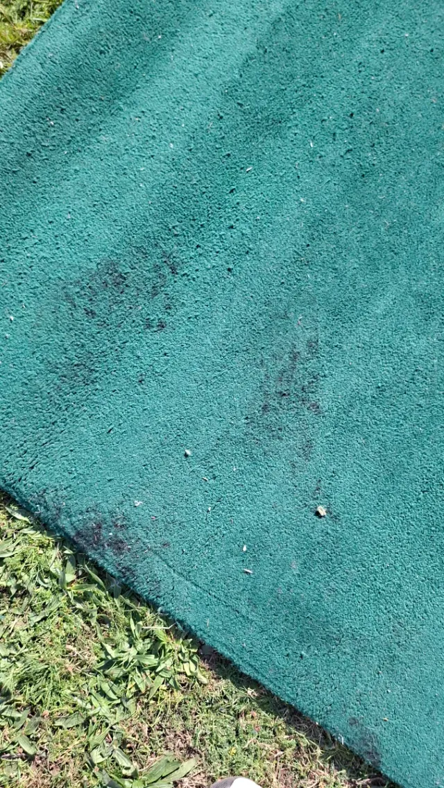 Alfombra Lana 360x302 cm