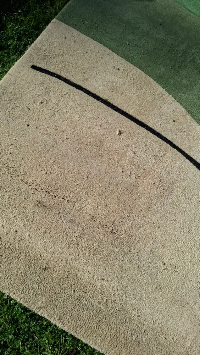 Alfombra Lana 360x302 cm