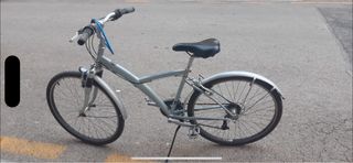 Bicicleta Gris