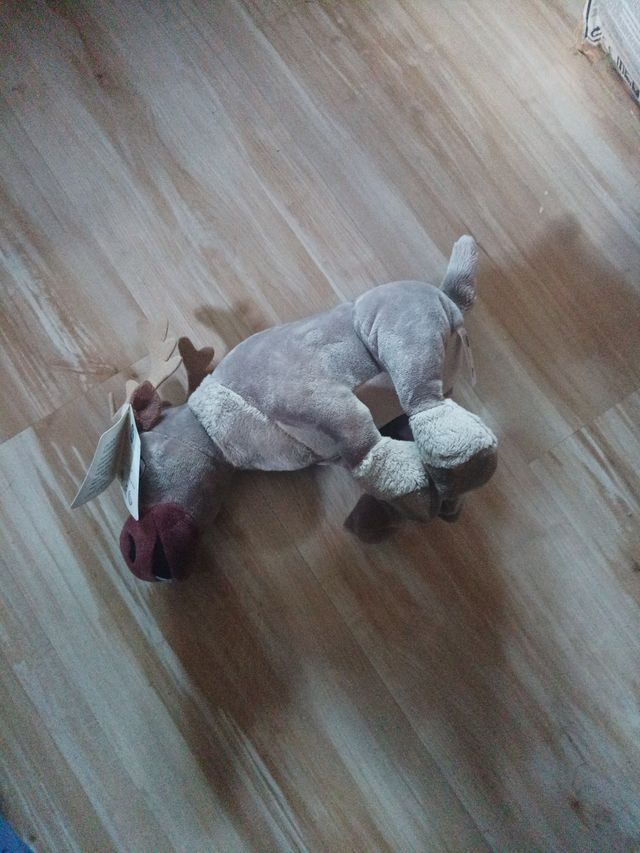 Peluche Sven frozen