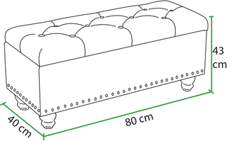 Pouf Cassapanca Contenitore con Rivestimento in Ec