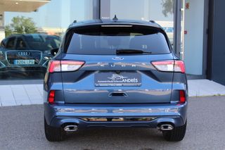 Ford Kuga STLINE 1.5 ECOBLUE 120CV 2022