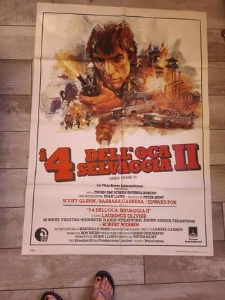 I quattro dell'oca selvaggia 2 - Wild Geese II