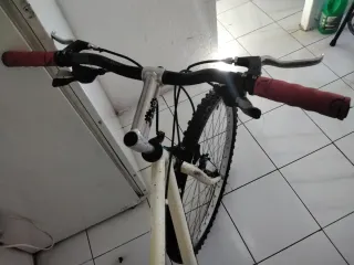 Bicicleta de montaña talla L de adulto