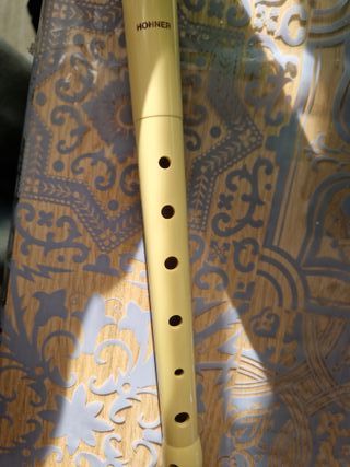 Flauta Hohner