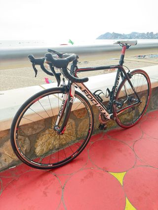 Focus Cayo Carbono Talla 54