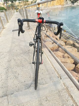 Focus Cayo Carbono Talla 54