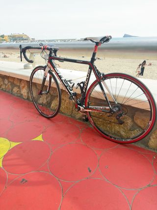 Focus Cayo Carbono Talla 54