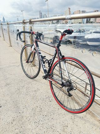 Focus Cayo Carbono Talla 54