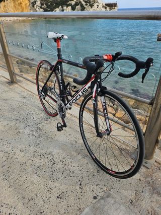 Focus Cayo Carbono Talla 54
