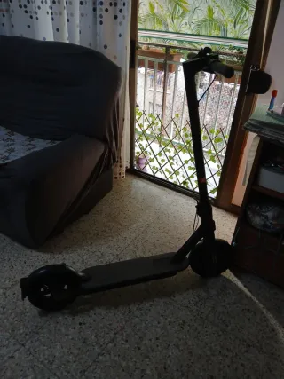 Patinete eléctrico adulto
