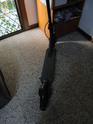 Patinete eléctrico adulto