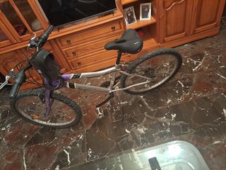 Bicicleta Paseo Plataforma Gel