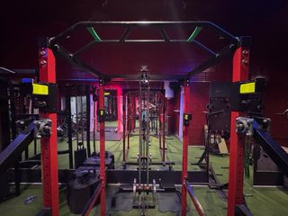 Jaula Musculación Polea Alta y Baja