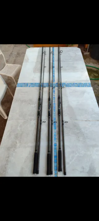 Cañas de Carpfishing