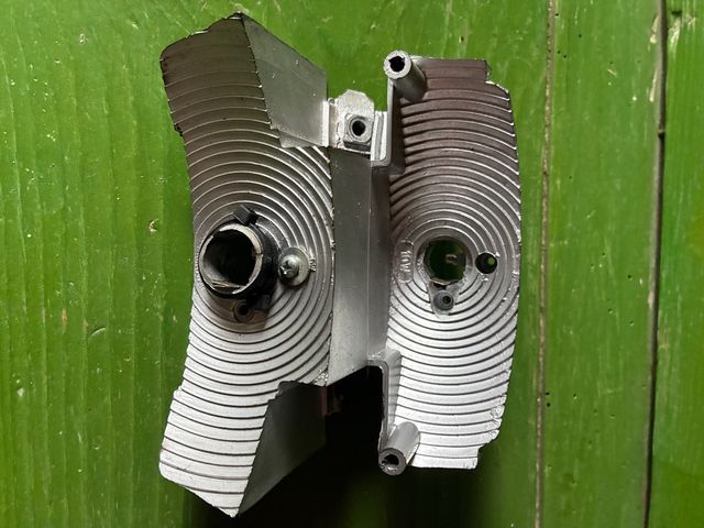 Tulipa Vespa DN NUEVA