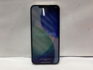 apple iphone 12 pro max 256gb