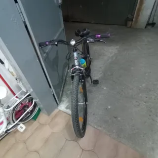 Bicicleta de montaña