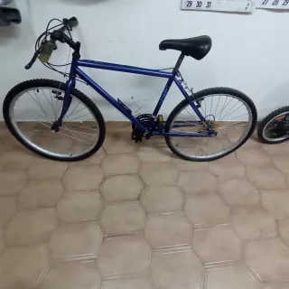 Bicicleta Montaña